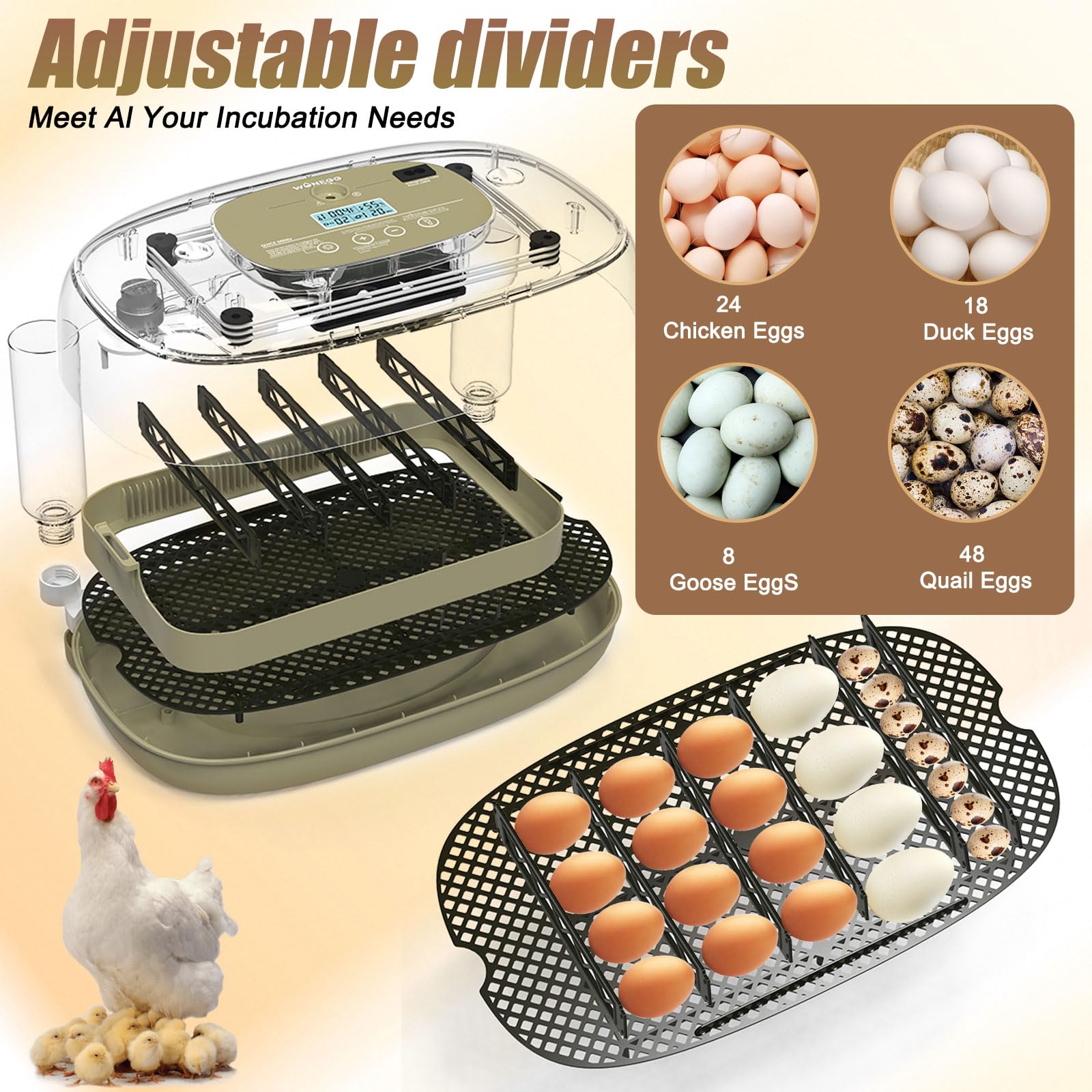 Oqioprd digital temperature humidity control provides precise climate for eggs