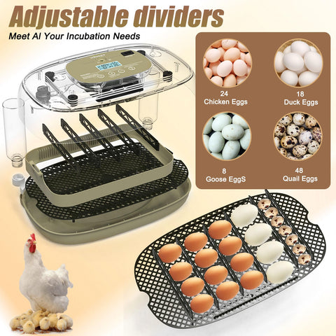 Oqioprd digital temperature humidity control provides precise climate for eggs