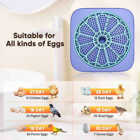 Oqioprd incubator auto turning with six modes simulates natural turning.