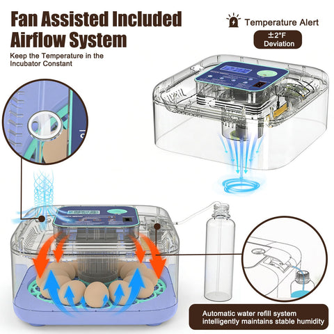 Oqioprd incubator temperature control provides accurate temperature management for hatch readiness.