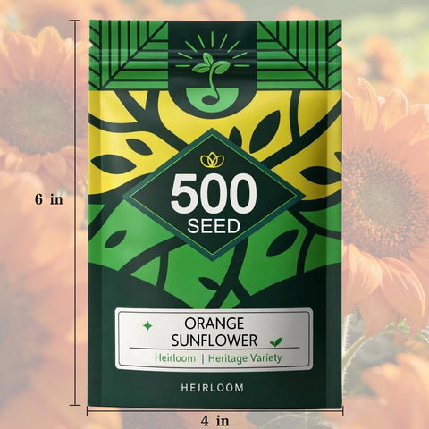 Border display with orange sunflower seeds in garden be a bright accent.