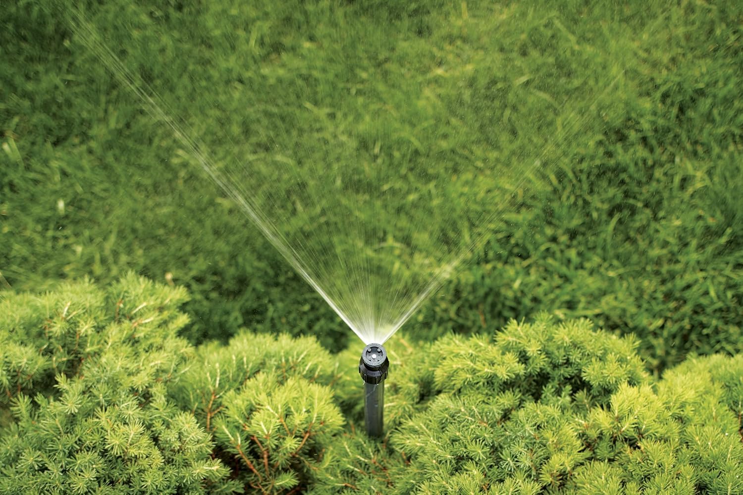 Orbit Watermaster quarter-circle sprinkler head angle close-up showing spray arc.