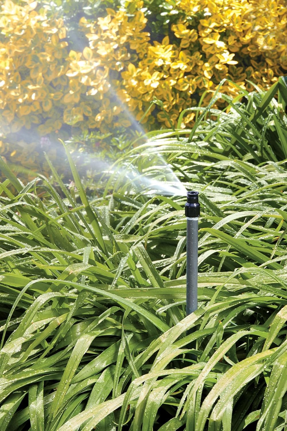 Orbit Watermaster quarter-circle sprinkler head in use in a shrub bed.