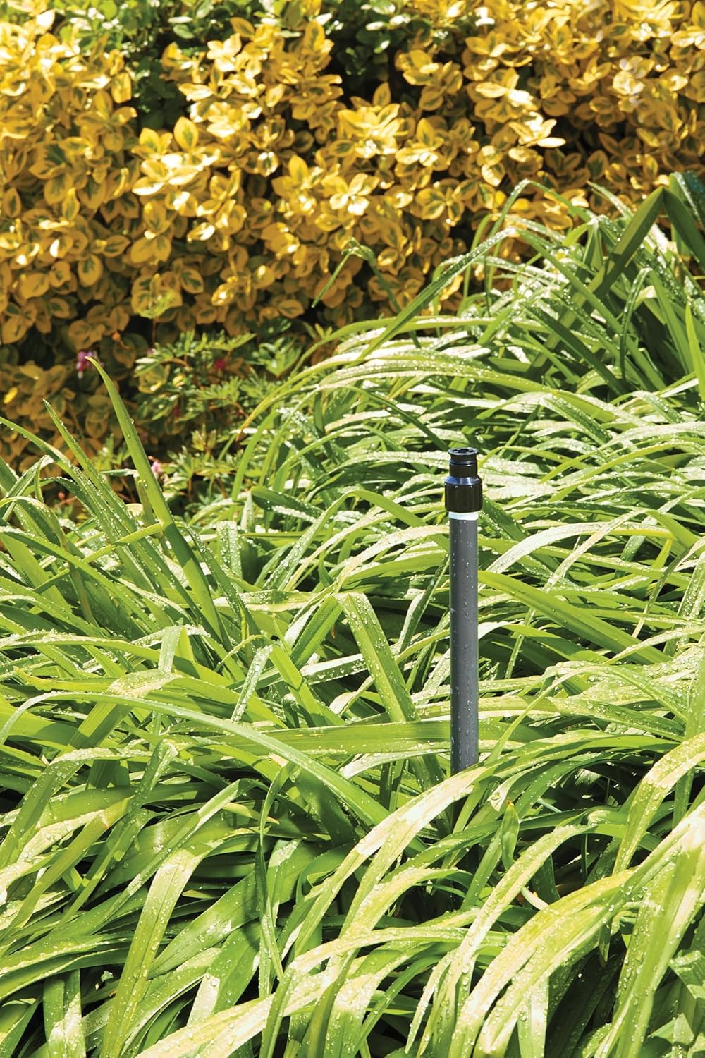 Orbit Watermaster quarter-circle sprinkler head during installation in a garden.