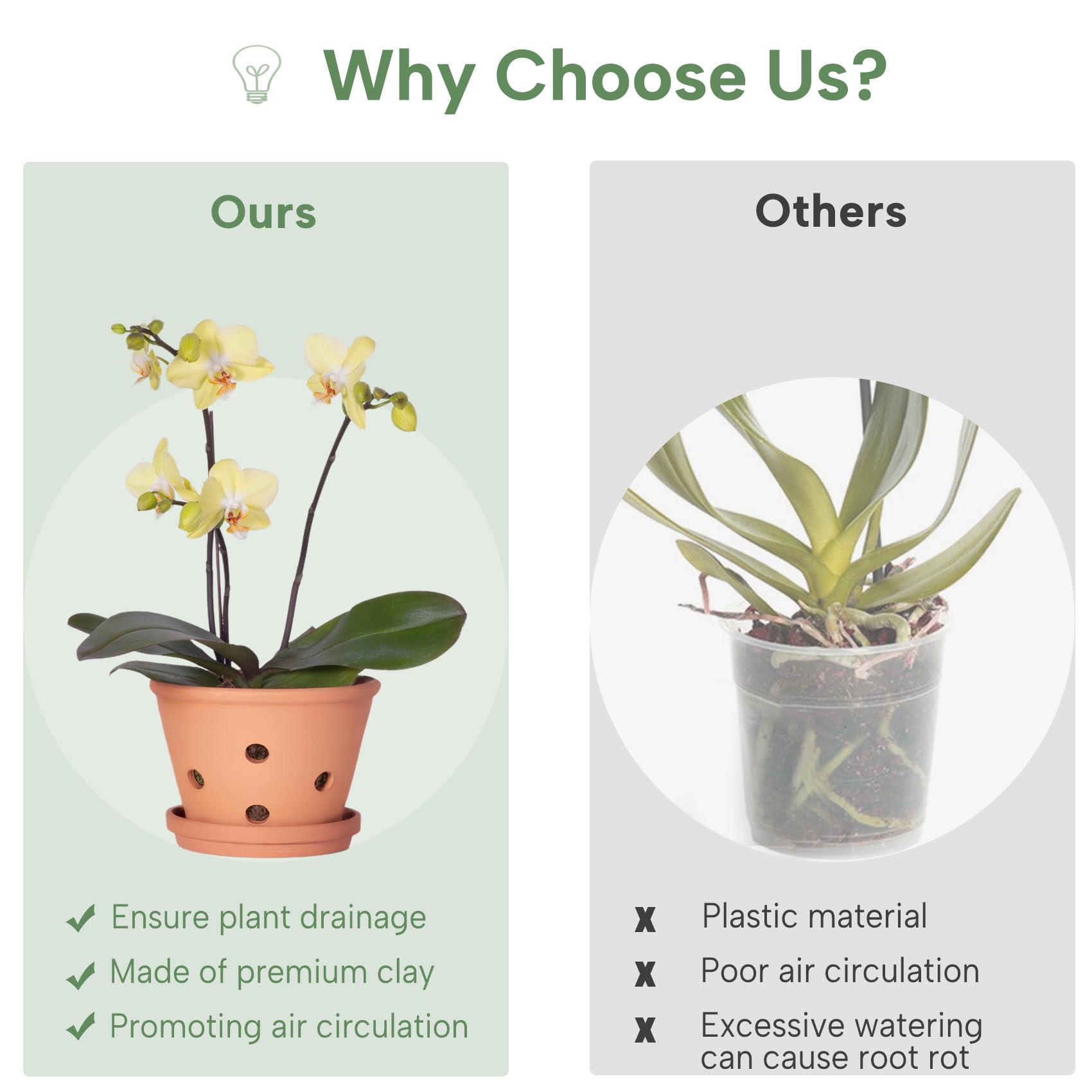 Orceler 2-pack orchid pot set for versatile display