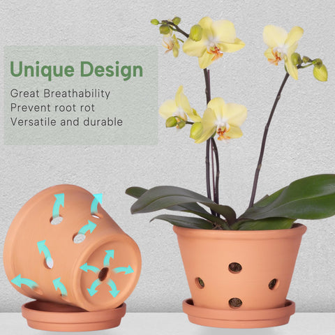 Orceler terracotta pot highlighting air flow and drainage