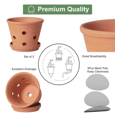 Orceler clay orchid pot with side holes to improve root ventilation and drainage.