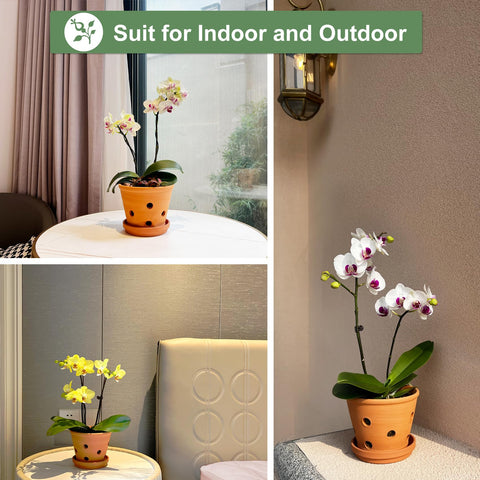 Orceler indoor-outdoor orchid pot pack for versatile placement at home or porch.