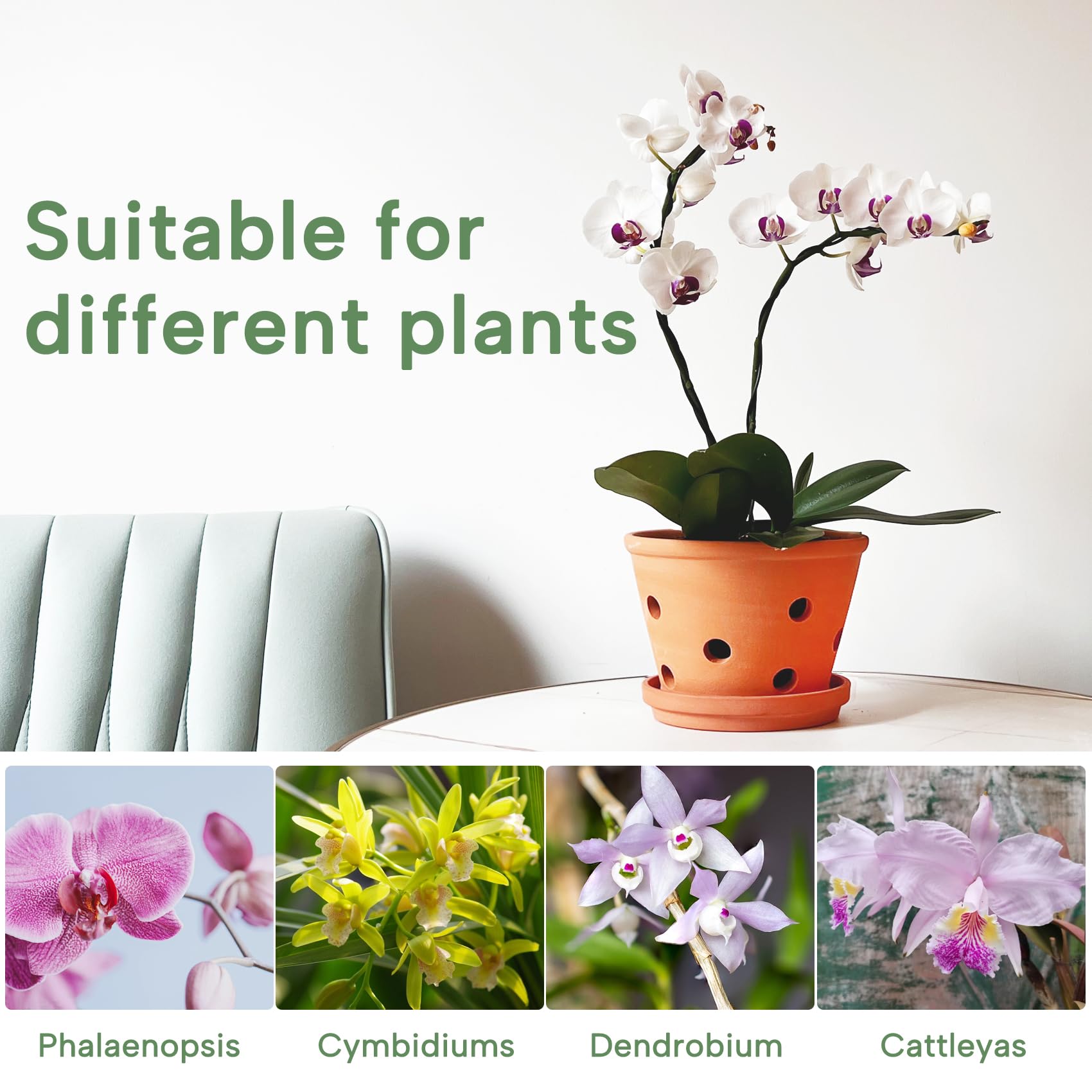 Orceler indoor-outdoor terracotta planter for versatile use