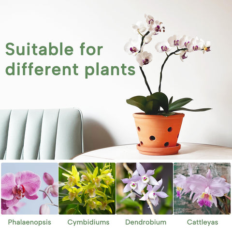 Orceler indoor-outdoor terracotta planter for versatile use