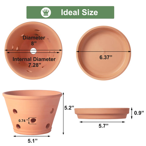 Orceler orchid pot with saucer included to catch overflow water