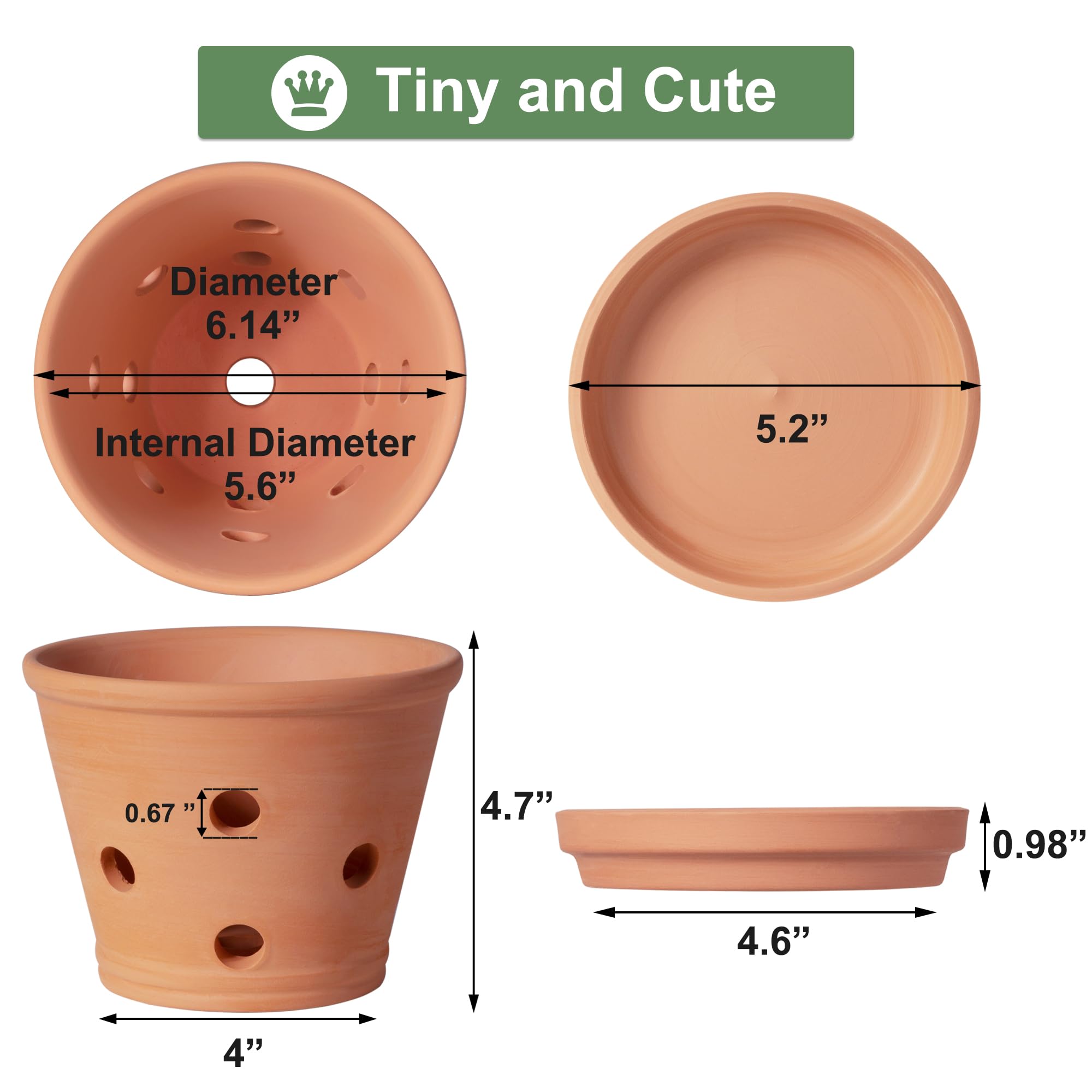 Orceler terracotta orchid pot with saucer in a 3-pack for tidy setups.