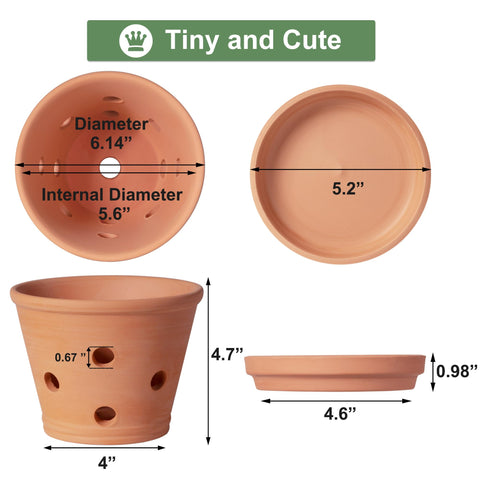 Orceler terracotta orchid pot with saucer in a 3-pack for tidy setups.