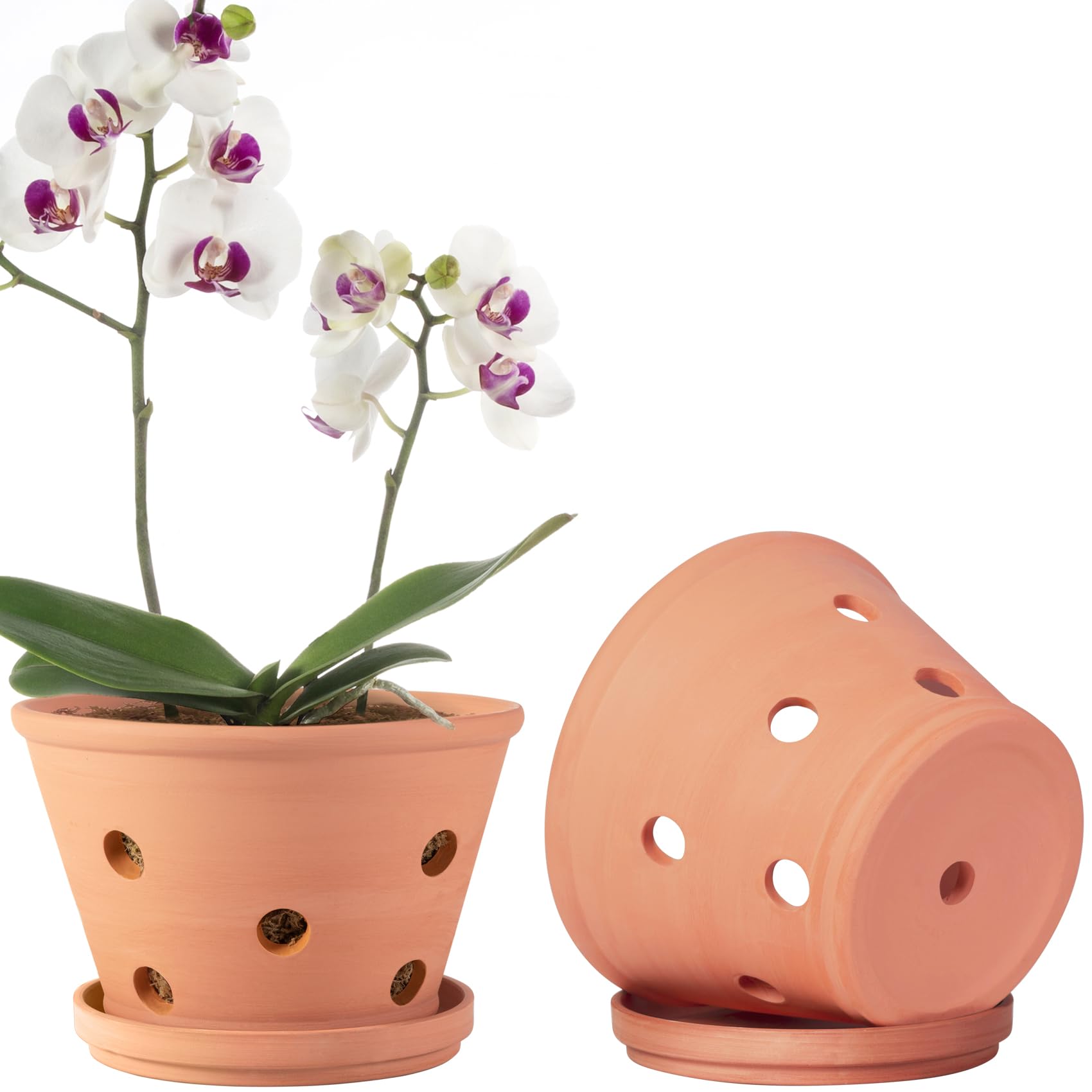 Orceler terracotta orchid pot with holes for improved root airflow