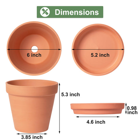 Orceler terracotta pot with saucer set, ideal for indoor and outdoor displays.