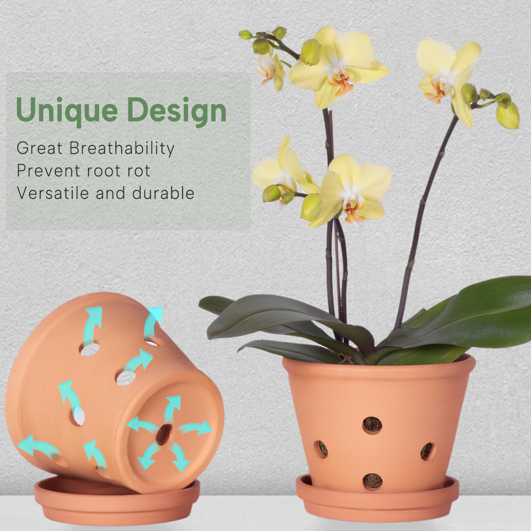Orceler terracotta pots 3-pack with saucers for clean, attractive planting displays.