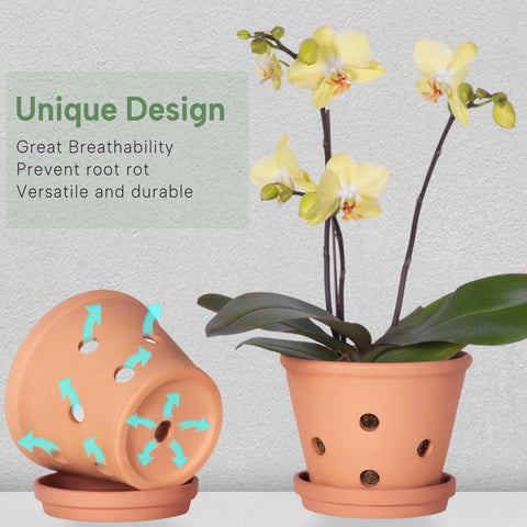 Orceler terracotta pots 3-pack with saucers for clean, attractive planting displays.