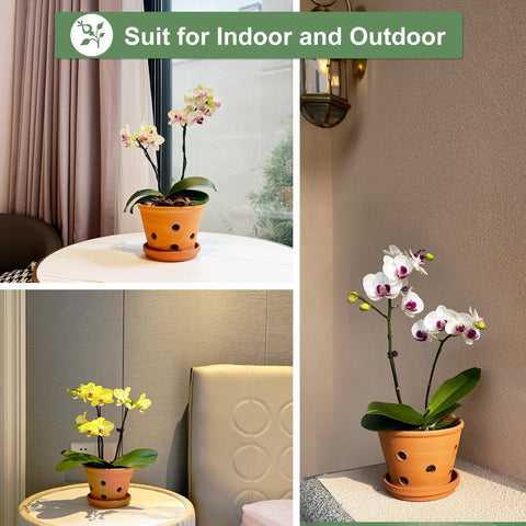 Orceler terracotta pots suitable for orchids and various plants