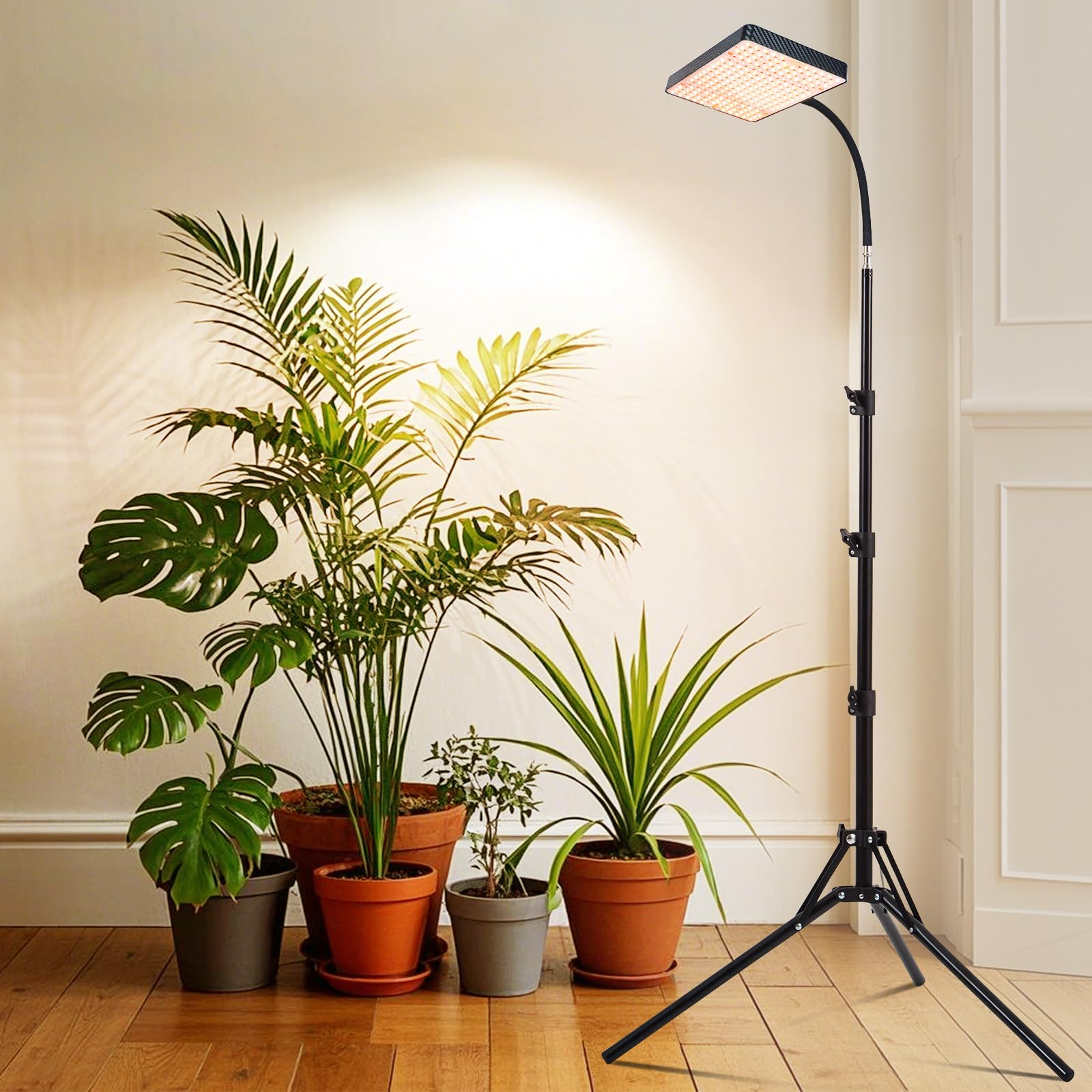 Orchbloom ideal for bonsai and tall houseplants.