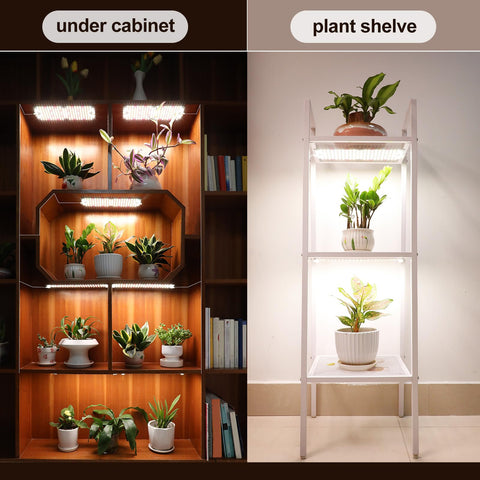 Orchbloom timer aids seed starting and indoor plant care routines