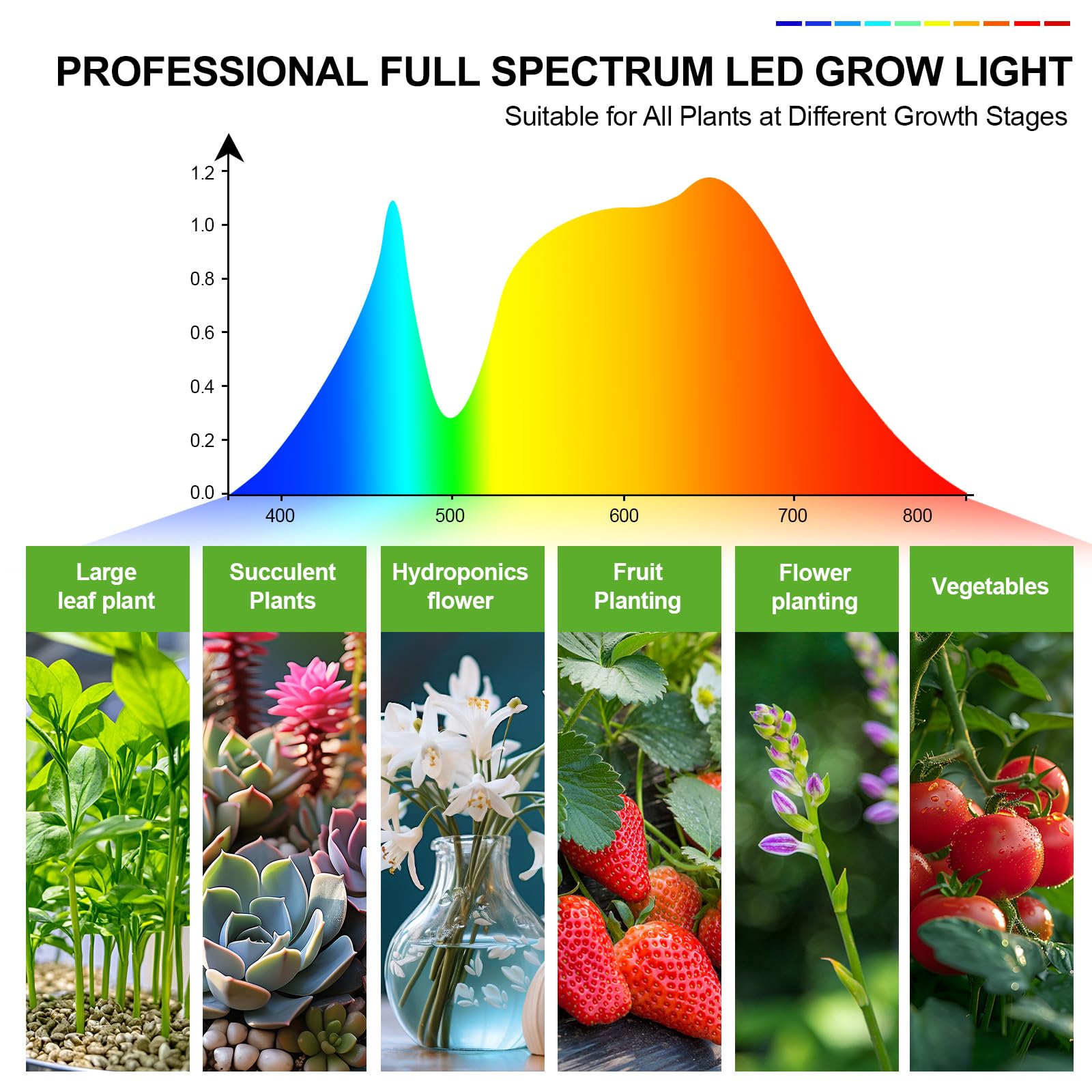 Orchbloom energizes indoor plants for robust growth.