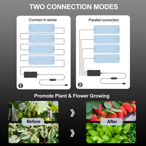 Orchbloom full spectrum LEDs support plant growth across growth stages