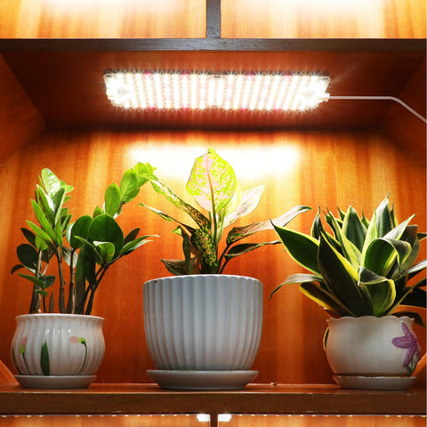Orchbloom grow lights over a shelf promoting healthy herb growth
