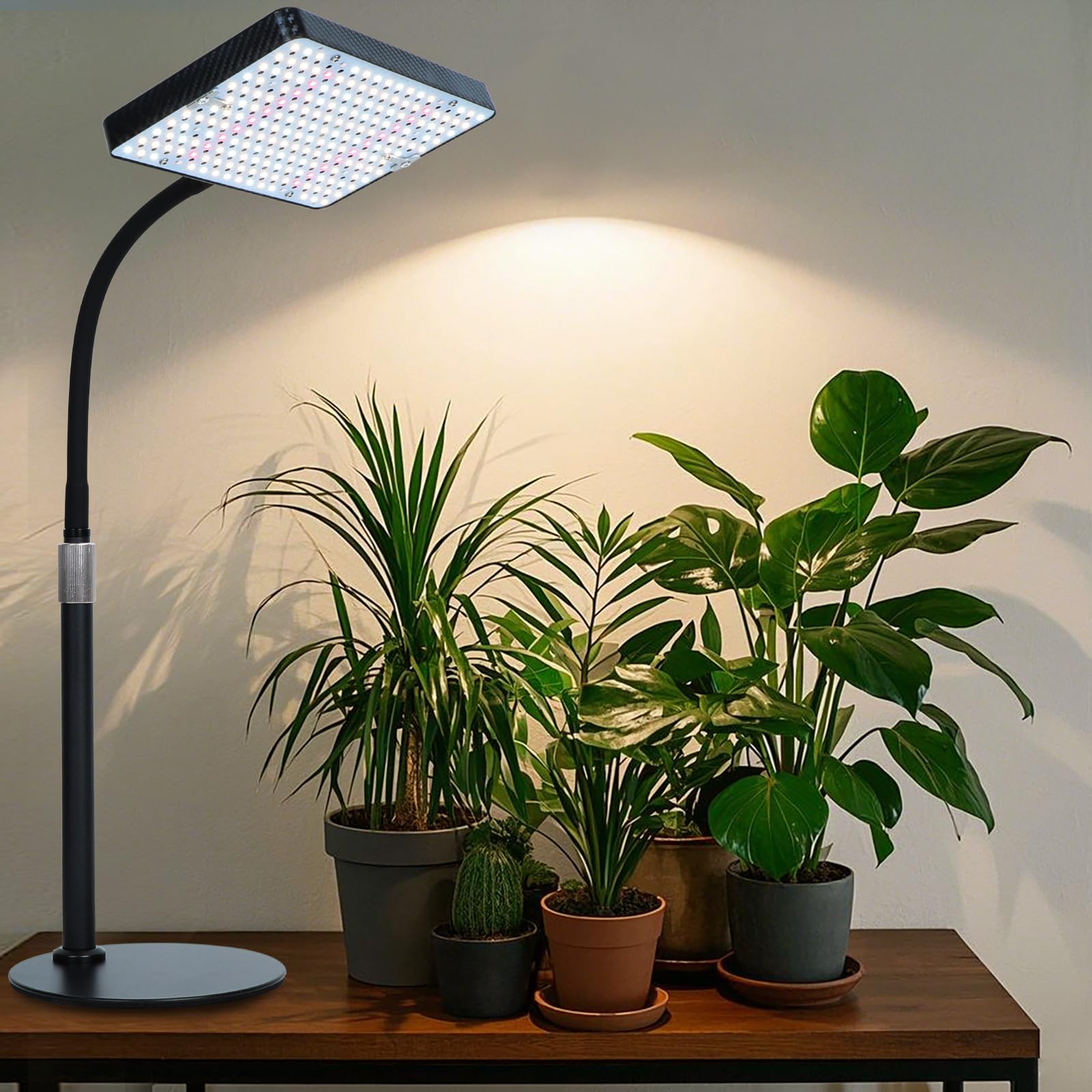 Orchbloom stable base designed for tabletop bonsai and seedlings