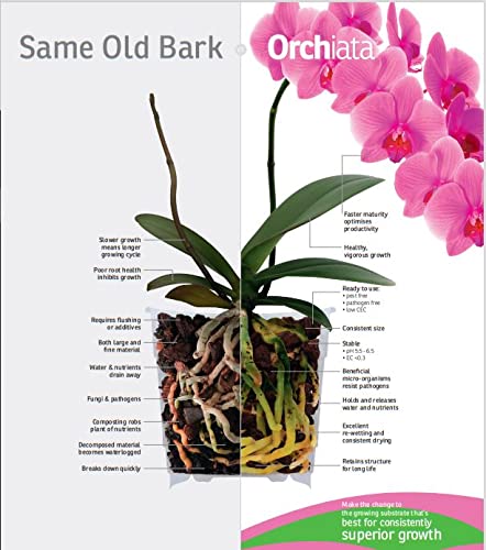 Orchiata orchid bark rough surface detail aids stable orchid root growth