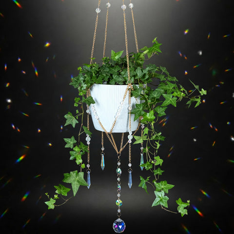 ORCHID AURA beaded plant hanger with sun catcher creates rainbow reflections in sunlight.