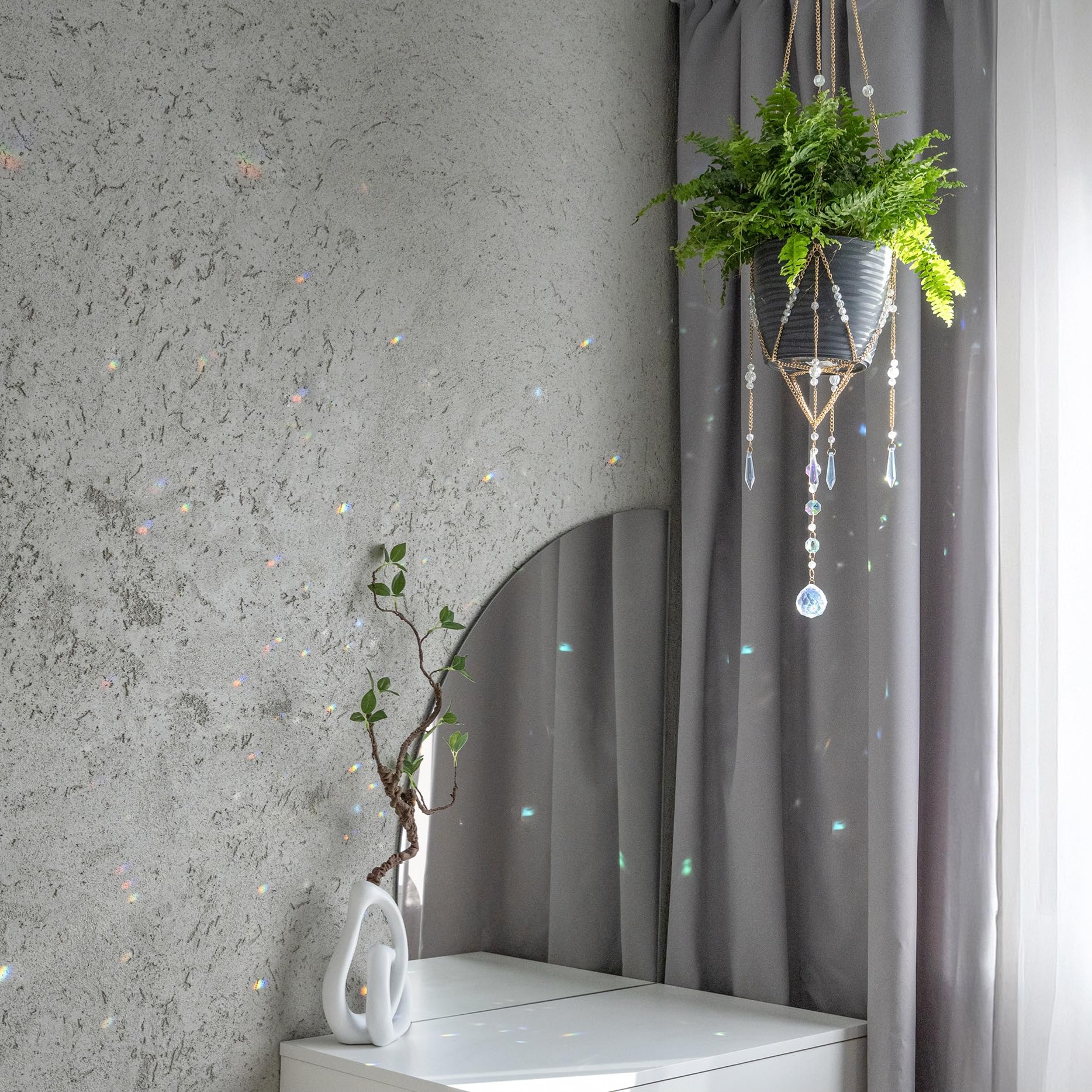 ORCHID AURA suitable for 4–10 inch pots for versatile display.