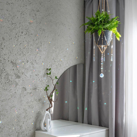 ORCHID AURA suitable for 4–10 inch pots for versatile display.