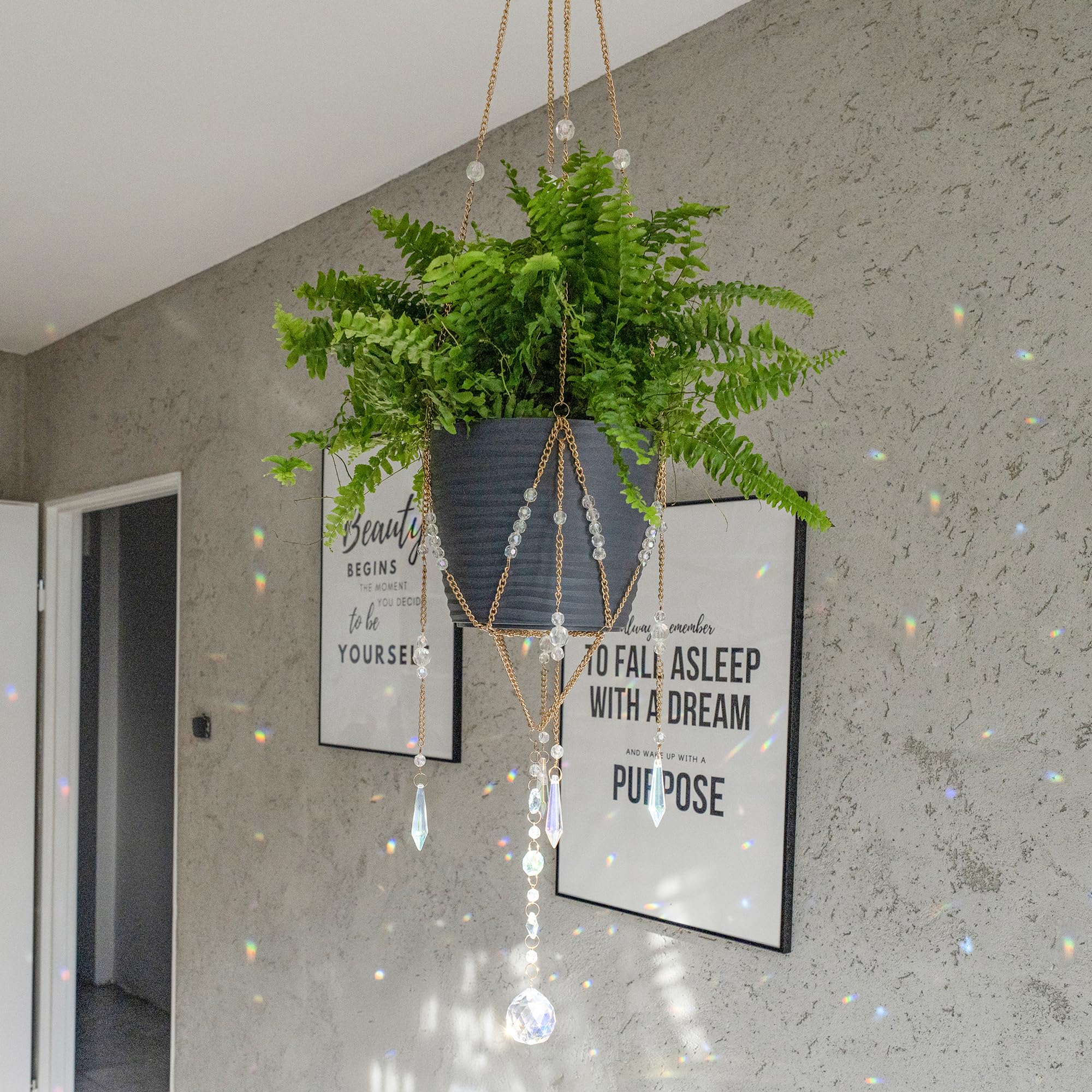 ORCHID AURA plant hanger elevates home decor with eye-catching sun sparkle.