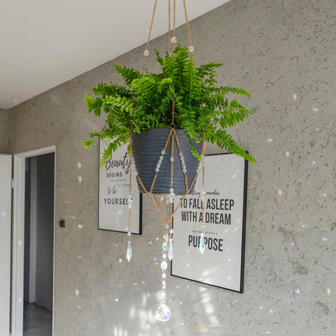 ORCHID AURA plant hanger elevates home decor with eye-catching sun sparkle.