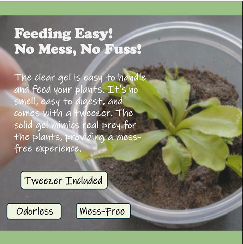 Orchid Gene dinner-time cubes make feeding convenient for busy plant lovers.