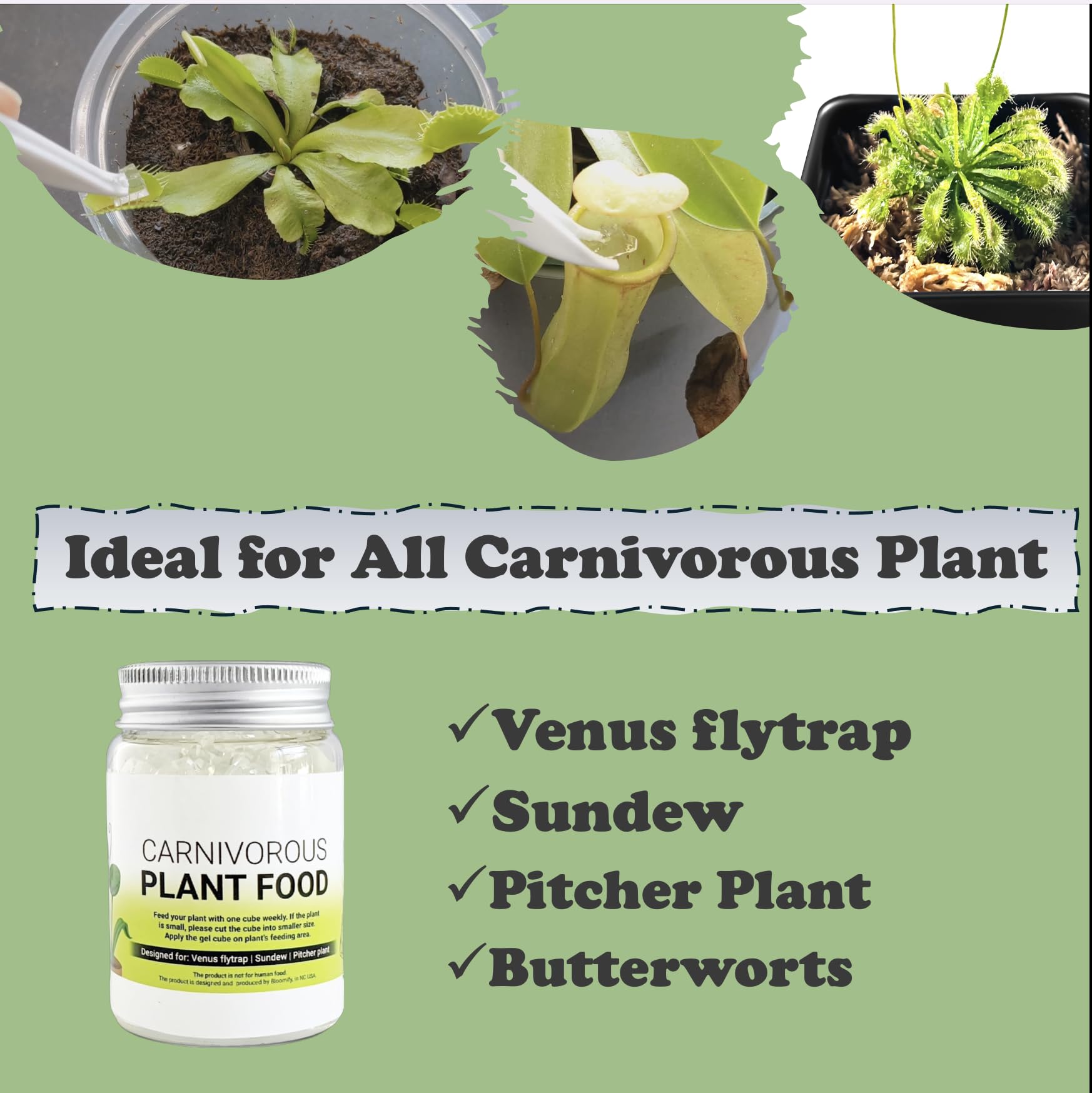 Orchid Gene easy-to-digest gel cubes simplify carnivorous plant care.