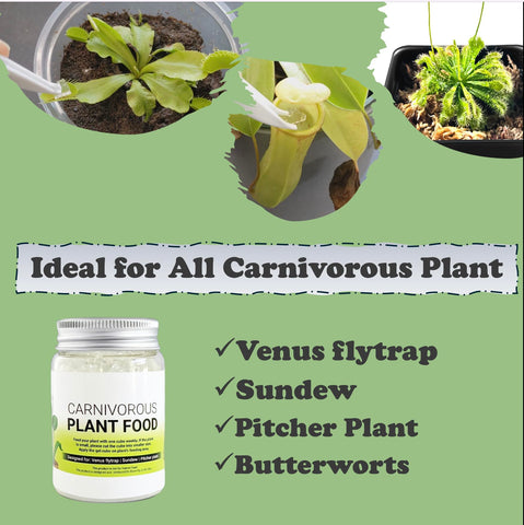 Orchid Gene easy-to-digest gel cubes simplify carnivorous plant care.