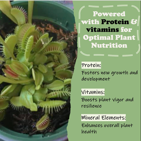 Orchid Gene Pitcher Plants cubes help efficient digestion and nutrient delivery.