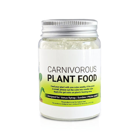 Orchid Gene Venus Flytrap Food solid gel cubes support healthy growth.