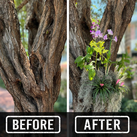 OrchidHug living-gallery vertical display showcases orchids with minimal footprint.