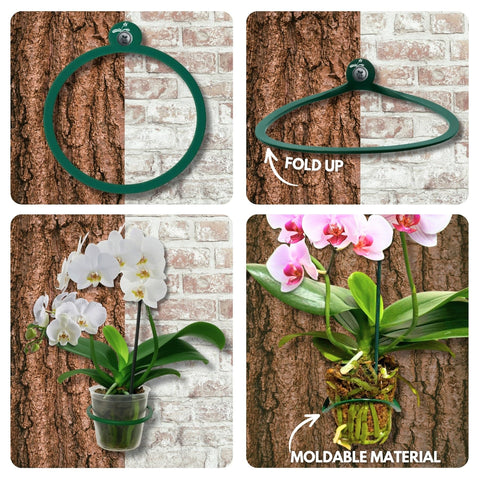 OrchidHug small 2.7in ring with green coating for mini orchids and offsets.