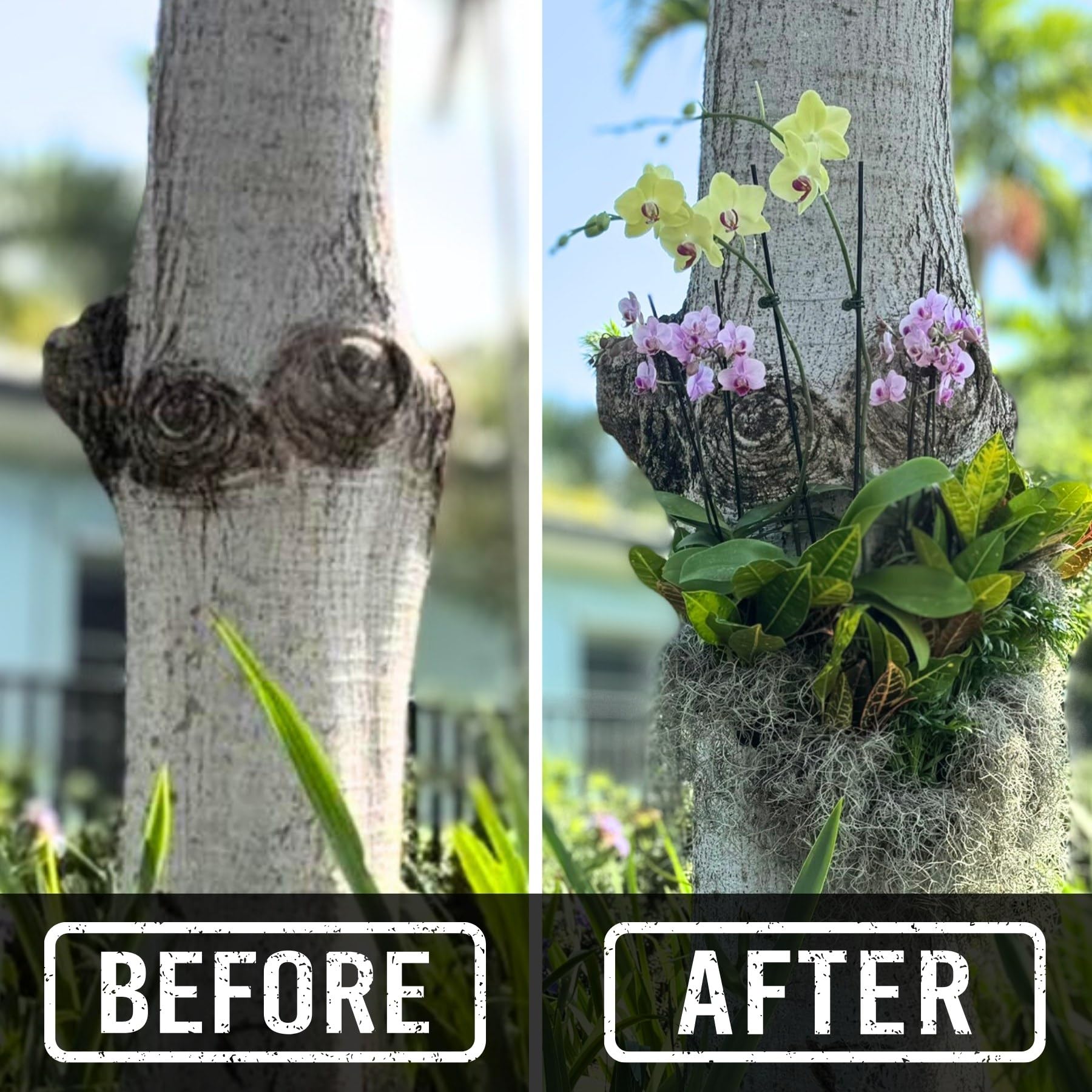 OrchidHug tool-free swapping lets you slide pots in and out easily.