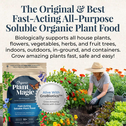 Organic Plant Magic dissolving in water to create a ready-to-use feed