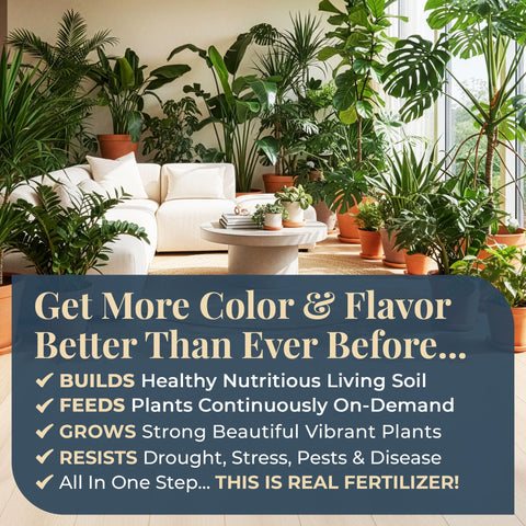 Organic Plant Magic nourishing vegetables and herbs for flavorful harvest