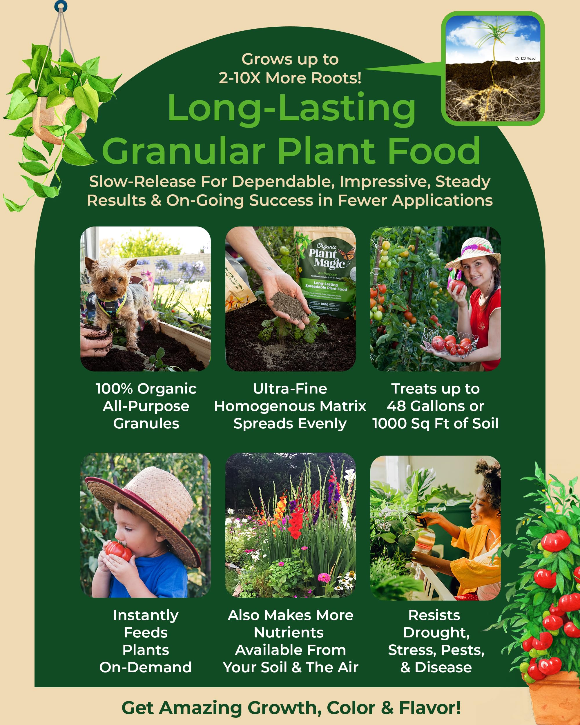 Organic Plant Magic flowering plants in bloom benefited by steady granular feeding.