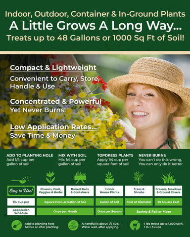 Organic Plant Magic house plants care with regular feeding for vibrant greenery.