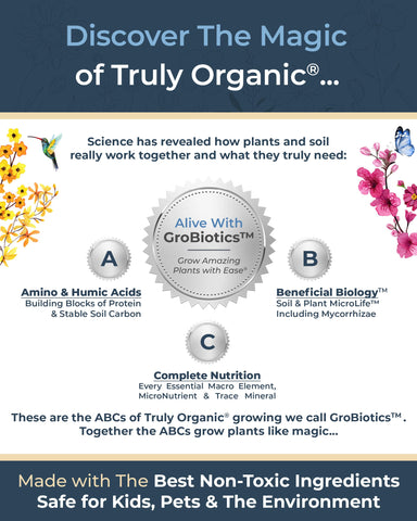 Organic Plant Magic outdoor-container-garden helps lush results in sun and shade.