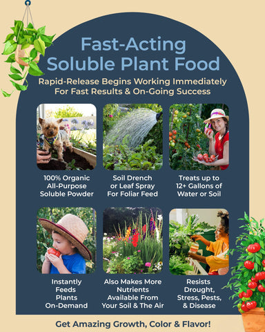 Organic Plant Magic seed-starting-feed promotes strong seedlings.
