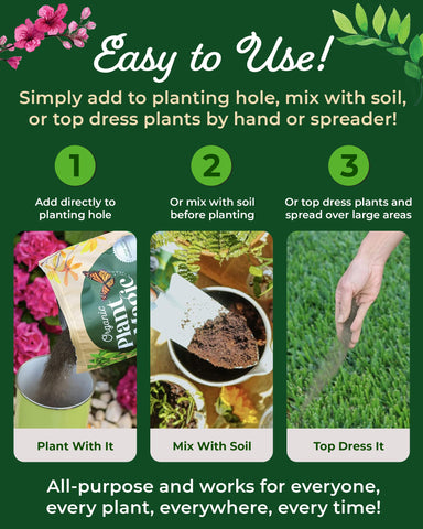 Organic Plant Magic vegetable garden growth with robust foliage and edible yields.
