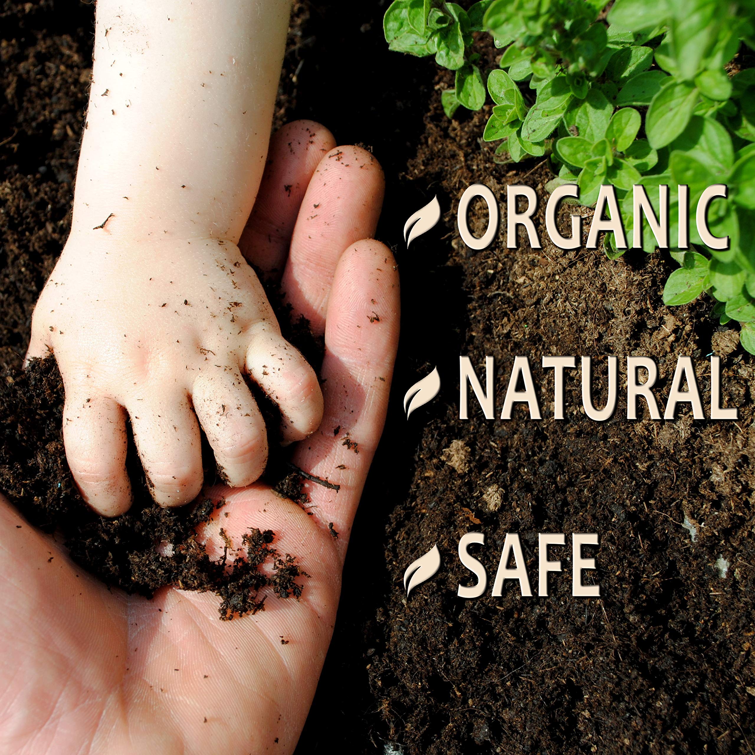 OrganicMatters Natural Weed Killer Spray in action shows quick weed control.